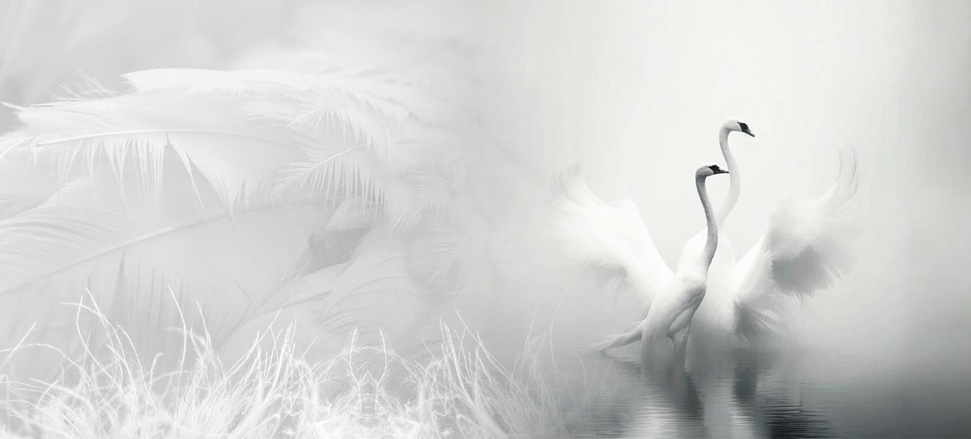 Zhejiang Shengjie Down Products Co., Ltd.