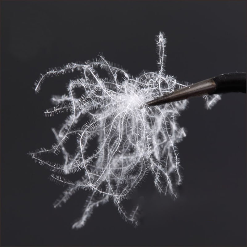 80 % puhdasta valkoista ankanuntuvaa