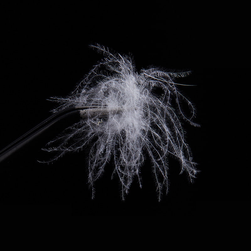 50 % puhdasta valkoista ankanuntuvaa