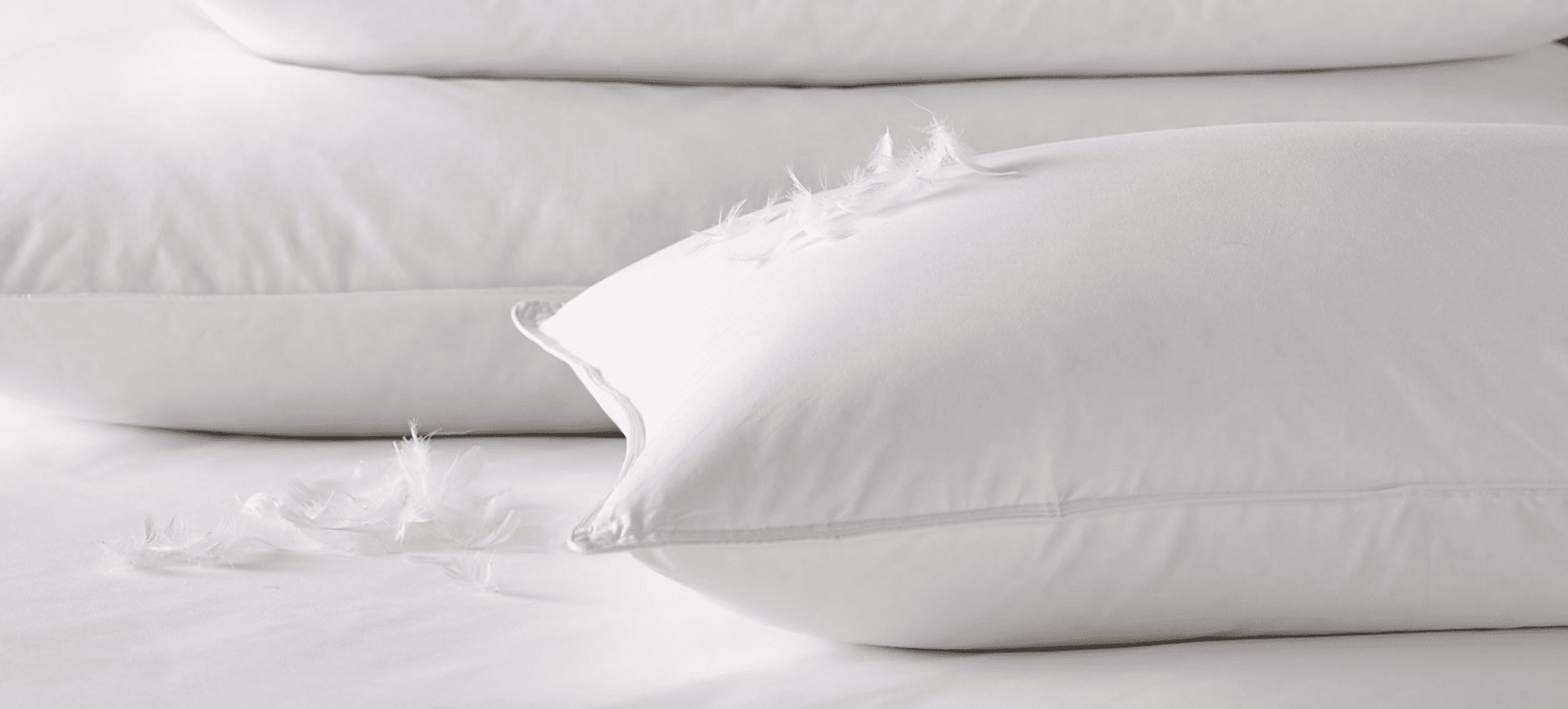 Zhejiang Shengjie Down Products Co., Ltd.